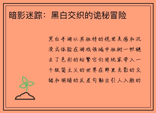 暗影迷踪：黑白交织的诡秘冒险